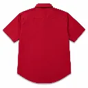 13.webp